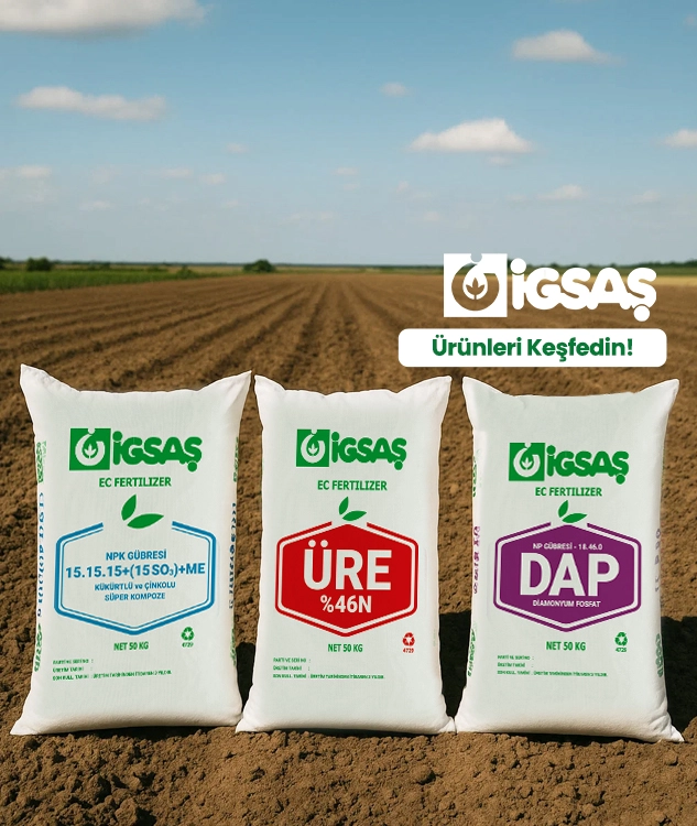 İgsaş Ürünleri