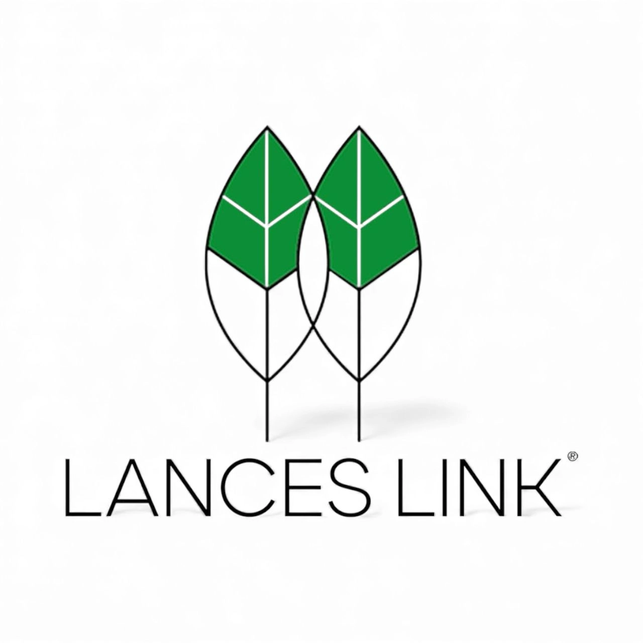 LANCES LINK 