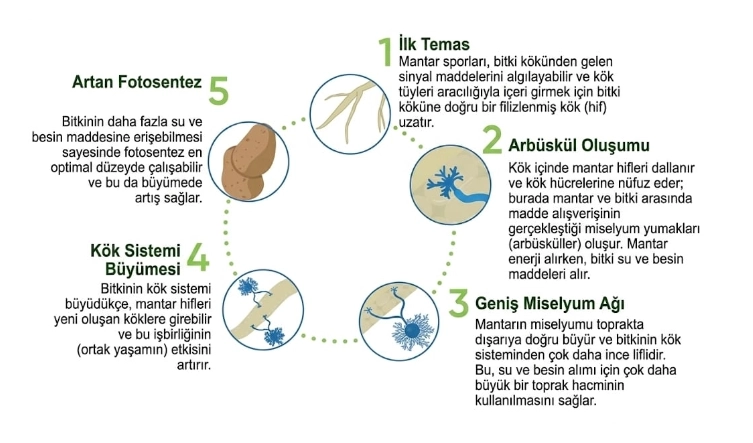 Resid G 10 kg Biyolojik Bitki Biyostimülantı | Durtur Tarım