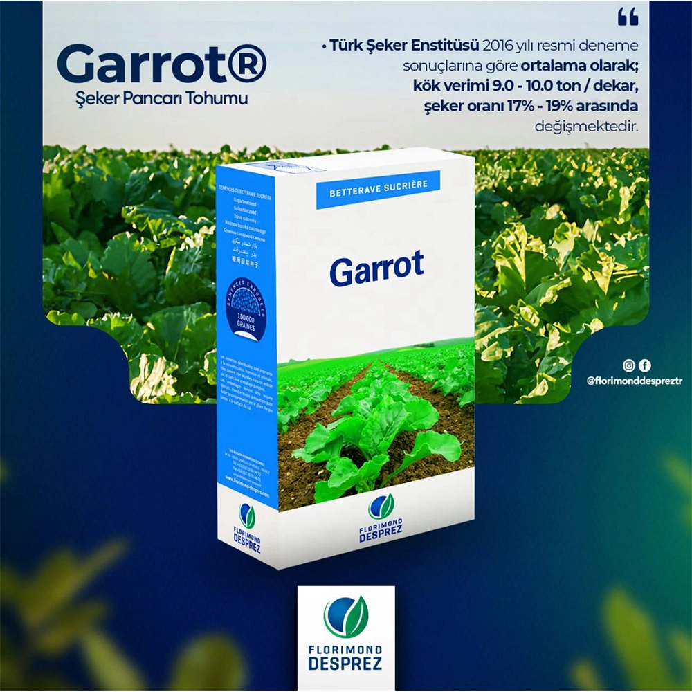 FLORİMOND DESPREZ GARROT KAPLAMALI PANCAR TOHUMU