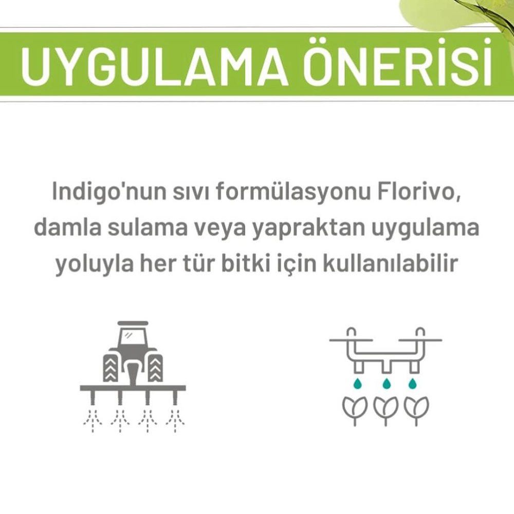İNDİGO FLORİVO - FLORIVO - TÜM BİTKİLER IÇİN AMİNO ASİTLER - DENİZ YOSUNLARI - FULVİK ASİTLER 5 LT