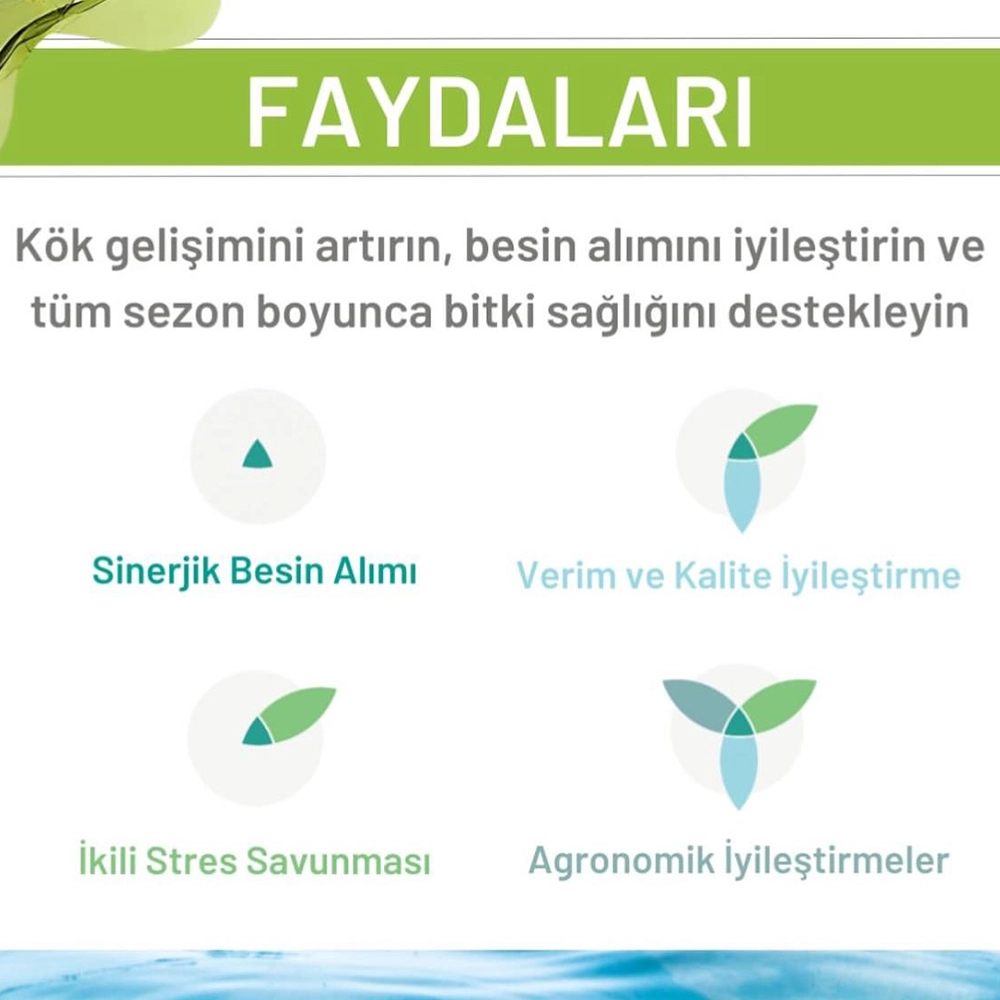 İNDİGO FLORİVO - FLORIVO - TÜM BİTKİLER IÇİN AMİNO ASİTLER - DENİZ YOSUNLARI - FULVİK ASİTLER 5 LT