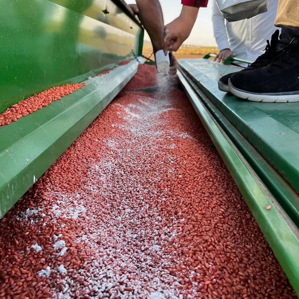  İNDİGO İ39 FP TAHILLAR - AMERİKAN BİYOLOJİK TOHUM KAPLAMA - FAYDALI MİKROPLAR/BAKTERİ/MANTAR 500 GR