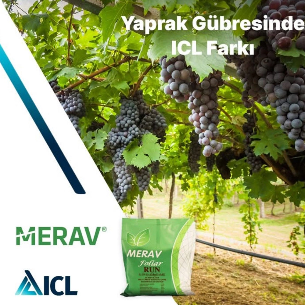 ICL MERAV 6-39-6+4 MgO+3 Zn + ME  FOSFORLU NPK GÜBRESİ TÜM BİTKİLER İÇİN 1 KG