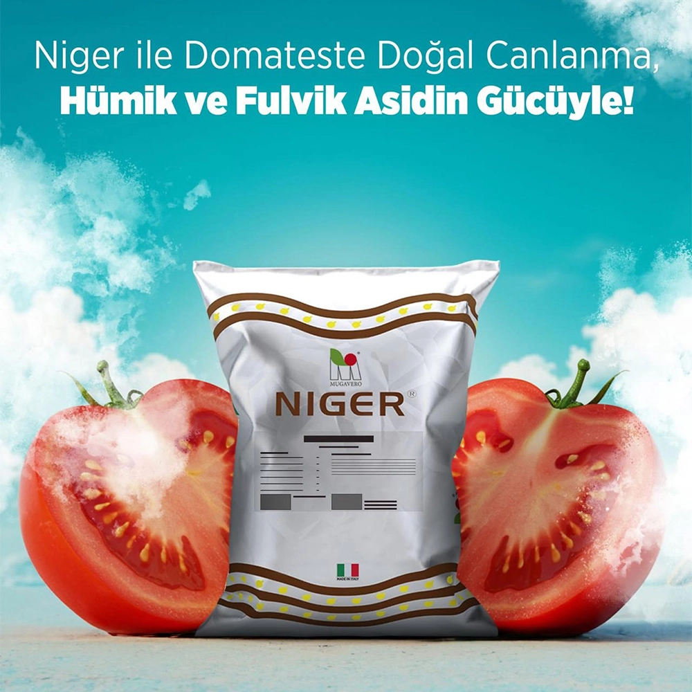 MUGAVERO NİGER 650 11-49-6+TE FOSFOR AĞIRLIKLI AYRICA HÜMİK VE FÜLVİC ASİT İÇEREN İTHAL NPK 10 KG