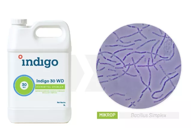 Indigo i30 WD | Sebze Tohum Kaplama ve Mikrobiyal Gübre - Durtur Tarım 