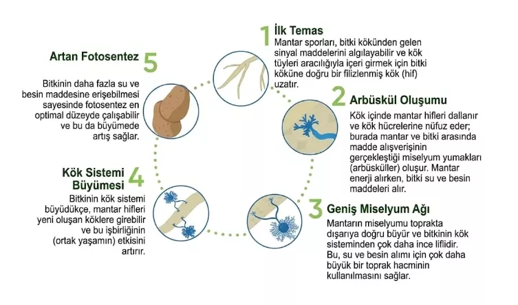 Resid G 10 kg Biyolojik Bitki Biyostimülantı | Durtur Tarım