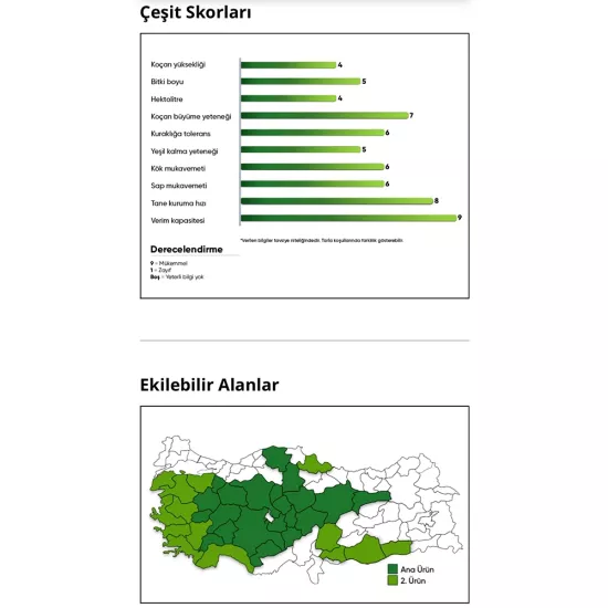 DURTUR TARIM - PİONEER P0937 HİBRİT DANELİK MISIR TOHUMU-İLAÇLI