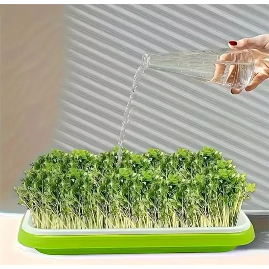 DURTUR TARIM - TOHUM ÇİMLENDİRME TEPSİSİ