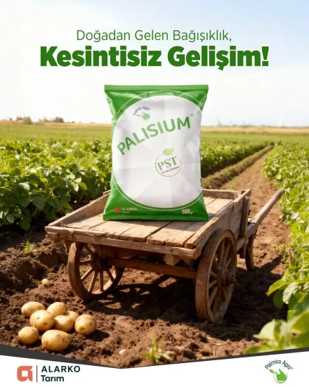Palisium 500 GR | %31,5 Silisyum Dioksit (SiO2) - Durtur Tarım 