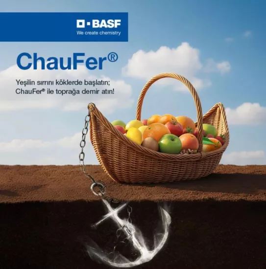 BASF Chaufer | %6 Demir Şelatı (EDDHA) - Demir Noksanlığı Çözümü