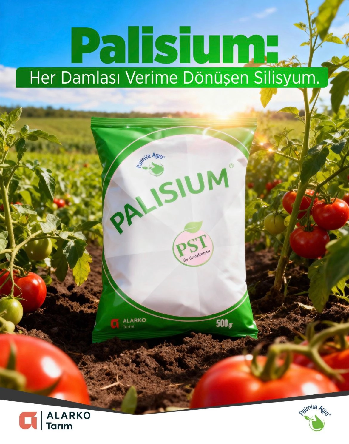 Palisium 500 GR - Biyoyararlı Silisyum ve Doğal Bağışıklık Güçlendirici 