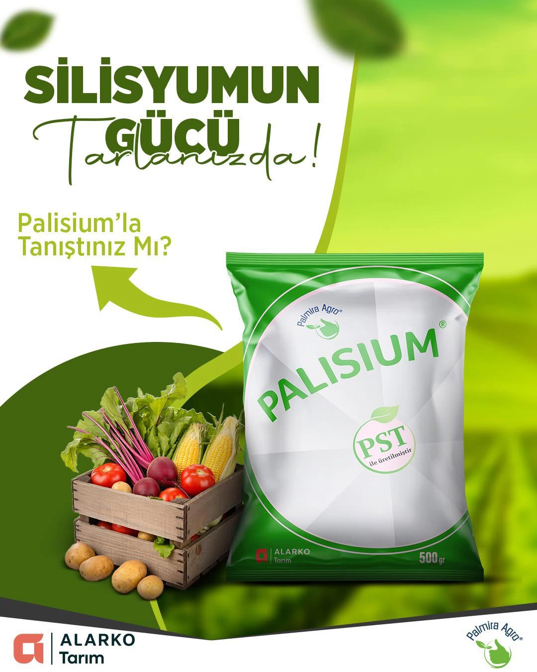 Palisium 500 GR - Biyoyararlı Silisyum ve Doğal Bağışıklık Güçlendirici 