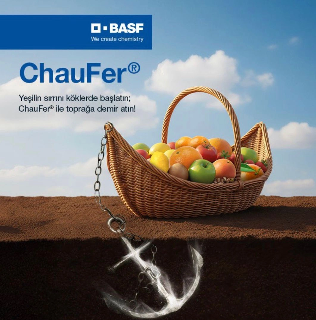 BASF Chaufer %6 EDDHA Şelatlı Demir Gübresi (Yüksek Ortho-Ortho Oranlı) 