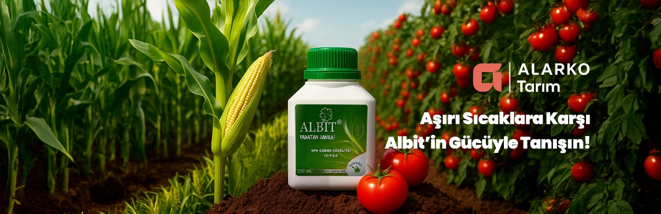 Albit alarko tarım durtur tarım
