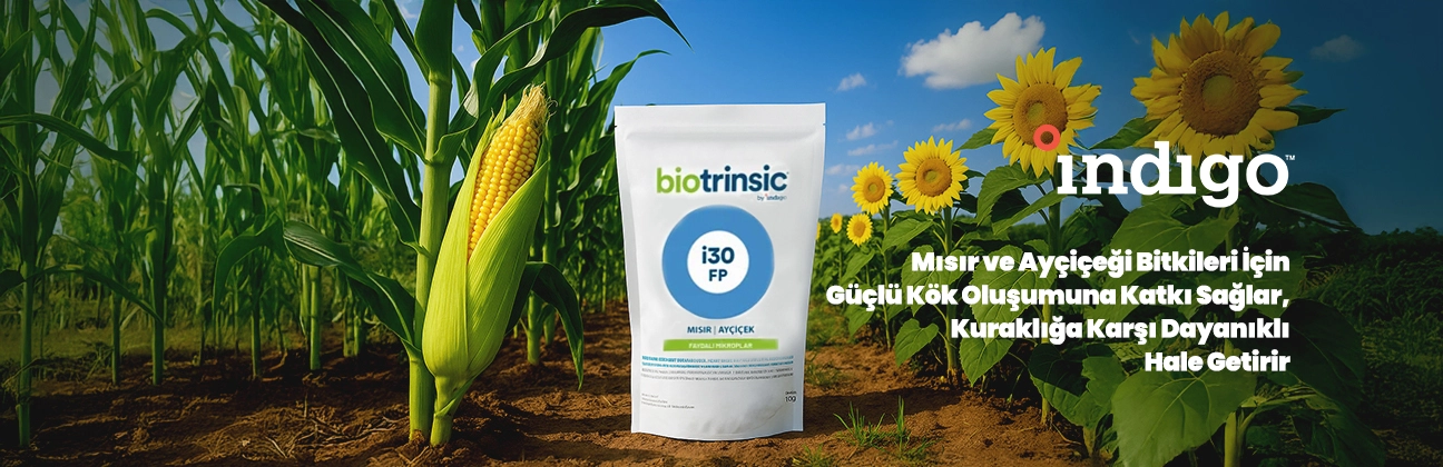 i30 indigo durtur tarım